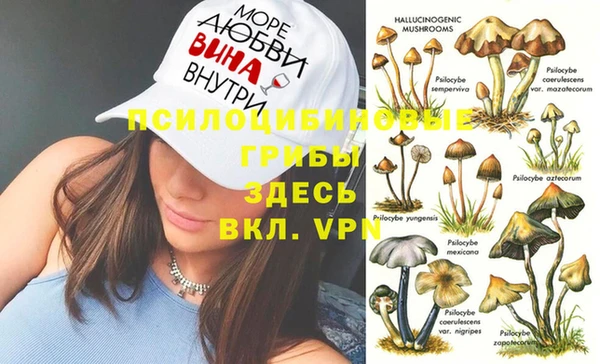 шишки Карталы