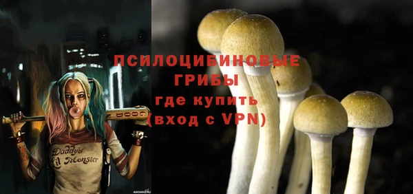 ПСИЛОЦИБИНОВЫЕ ГРИБЫ Карпинск