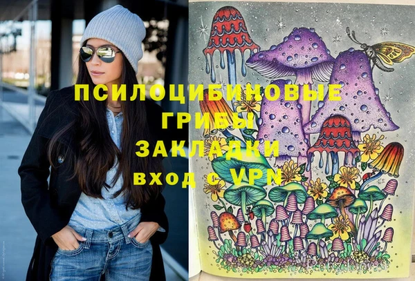 шишки Карталы