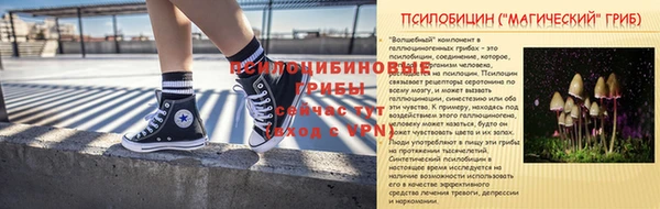 шишки Карталы
