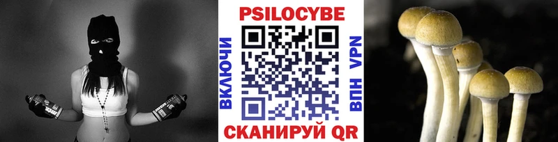 Галлюциногенные грибы прущие грибы  Купить где  Приволжский 